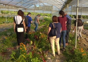 Visita de estudo no curso Horticultura ecolóxica