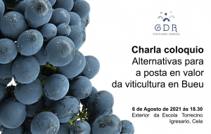 O GDR analizará as alternativas para poñer en valor a viticultura de Bueu dentro da IXP Ribeiras do Morrazo