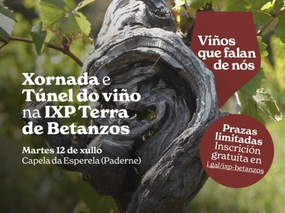 Nova xornada divulgativa arredor dos viños das IXP de Galicia con catas e faladoiros con especialistas
