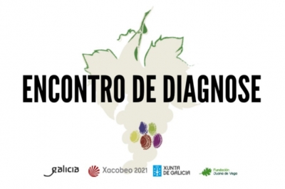 Participación do GDR  no Encontro de diagnose das zonas vitivinícolas galegas con IXP