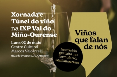 Xornada de dinamización e Túnel do viño na IXP Val do Miño-Ourense