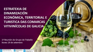 1ª Reunión do grupo de traballo da Estratexia de dinamización económica, territorial e turística das comarcas vitivinícolas de Galicia