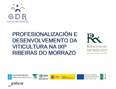 Profesionalización e desenvolvemento da viticultura na IXP Ribeiras do Morrazo 2018